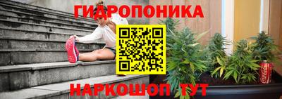 гидропоника Гусиноозёрск