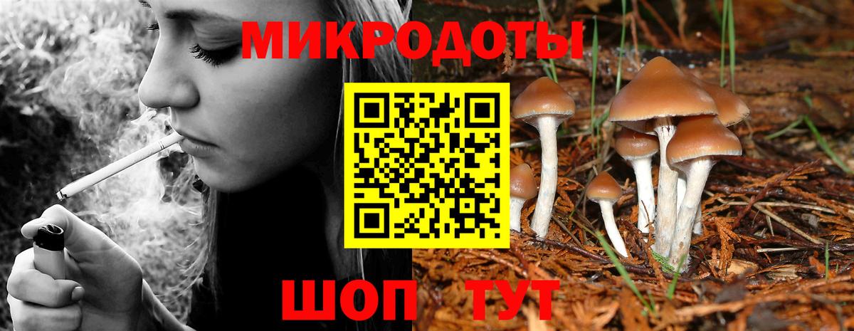 Мичуринск  Псилоцибиновые грибы мухоморы  Вход с VPN 